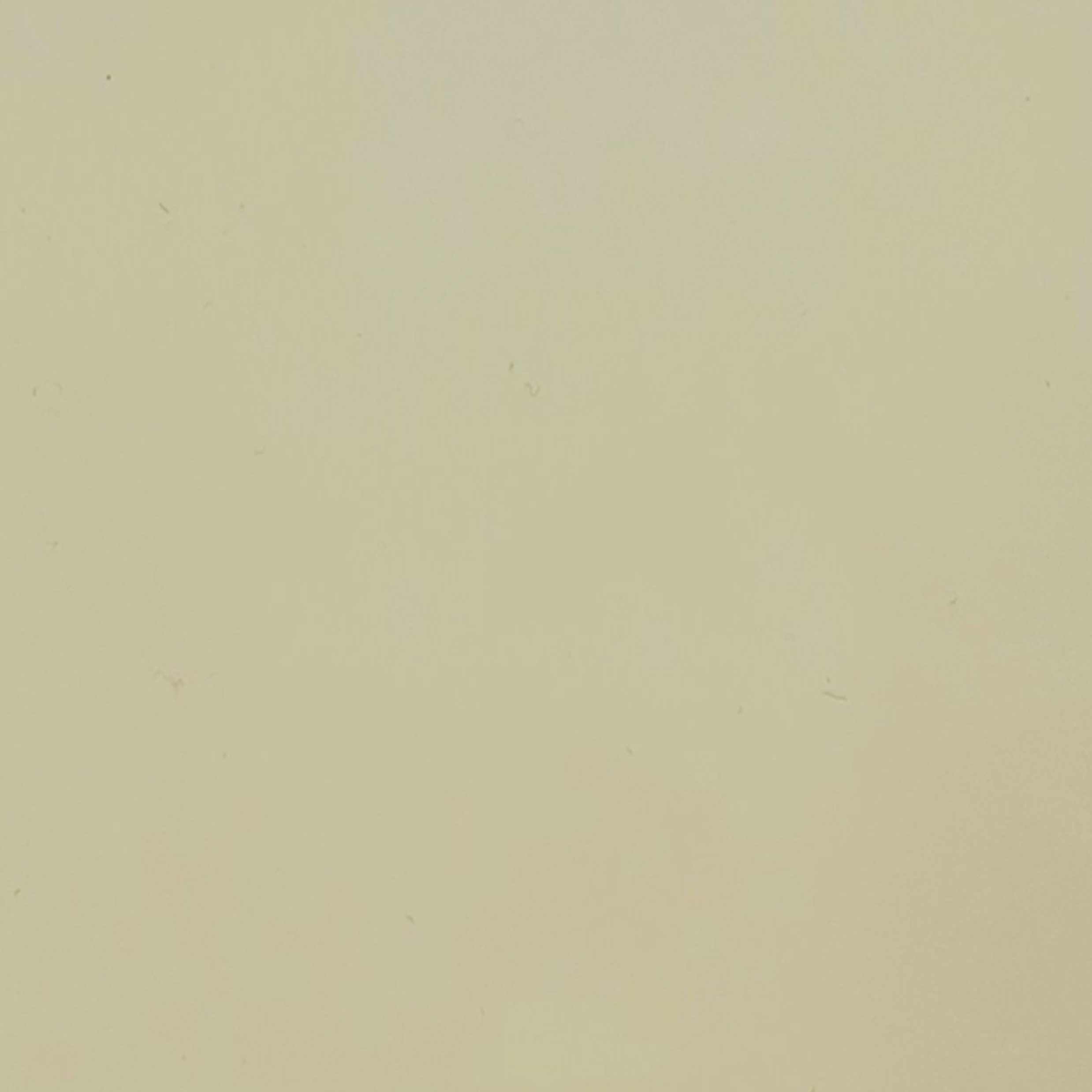Ваниль глянец NS-229